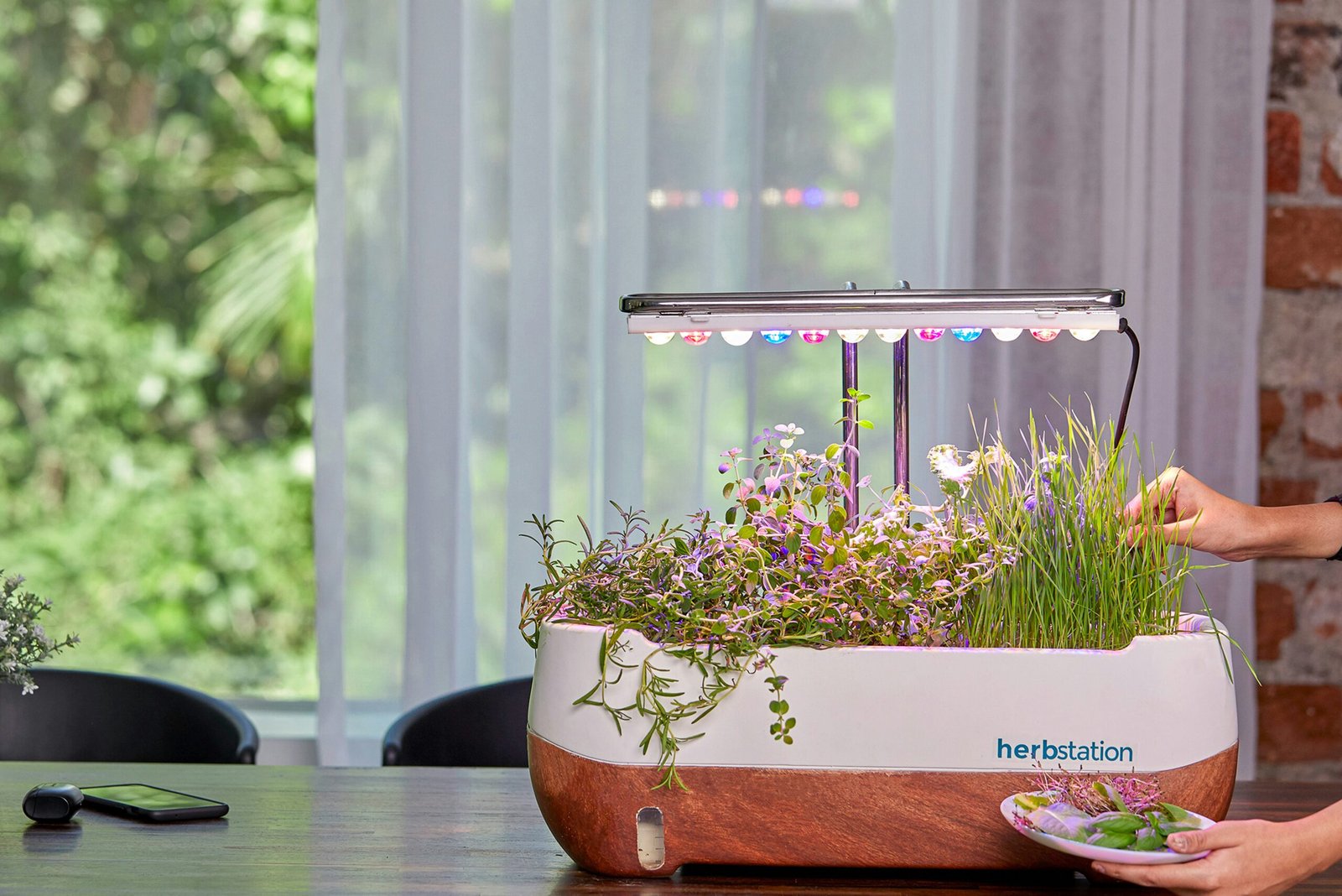Indoor herb garden